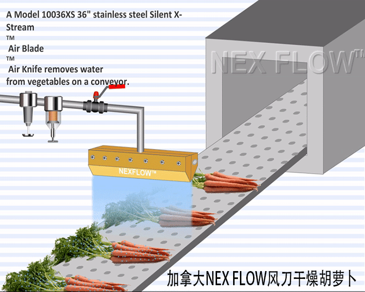胡蘿卜750+600-文字.gif 胡蘿卜750+600-文字.gif